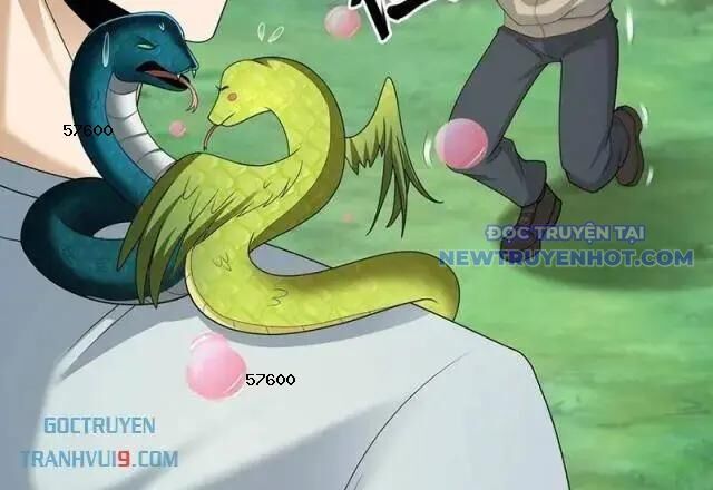 Ngày Tôi Sinh Ra, Bách Quỷ Dạ Hành, Tuyết Thi Hộ Đạo Chap 602 - Next Chap 603