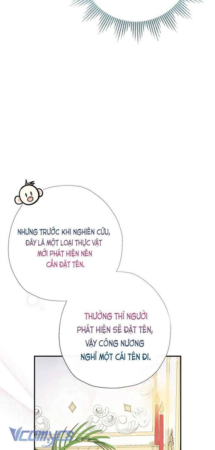 Tiểu Thư Tích Tiền Đi Bụi Chap 81 - Next Chap 82