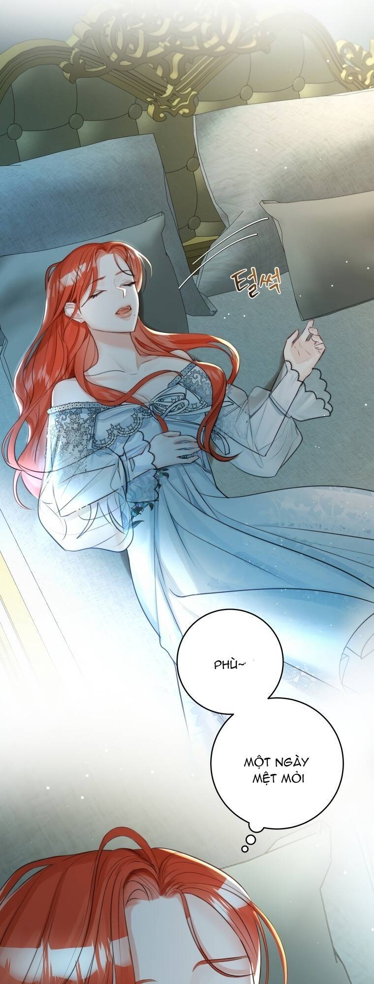 Cuộc Hôn Nhân Xa Hoa Của Đại Công Tước Là Giả Chap 28 - Next Chap 29