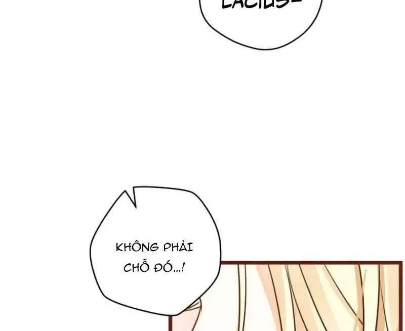 Cuộc Hôn Nhân Xa Hoa Của Đại Công Tước Là Giả Chap 86 - Next Chap 87