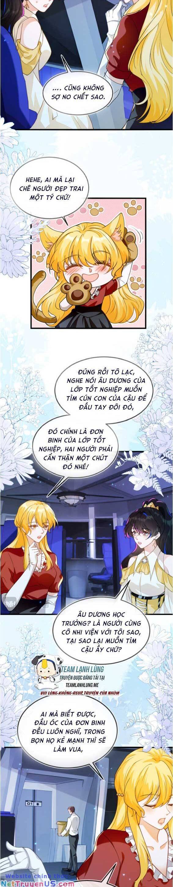 Vừa Mới Huỷ Hôn Đã Bị Dã Hồ Ly Lừa Kết Hôn Chap 12 - Next Chap 13