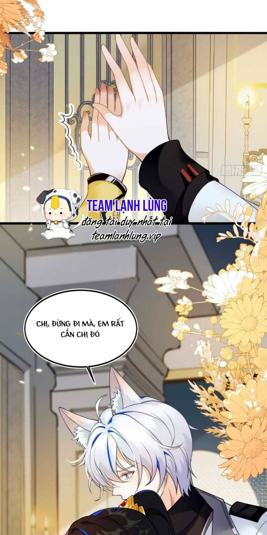 Vừa Mới Huỷ Hôn Đã Bị Dã Hồ Ly Lừa Kết Hôn Chap 3 - Next Chap 4