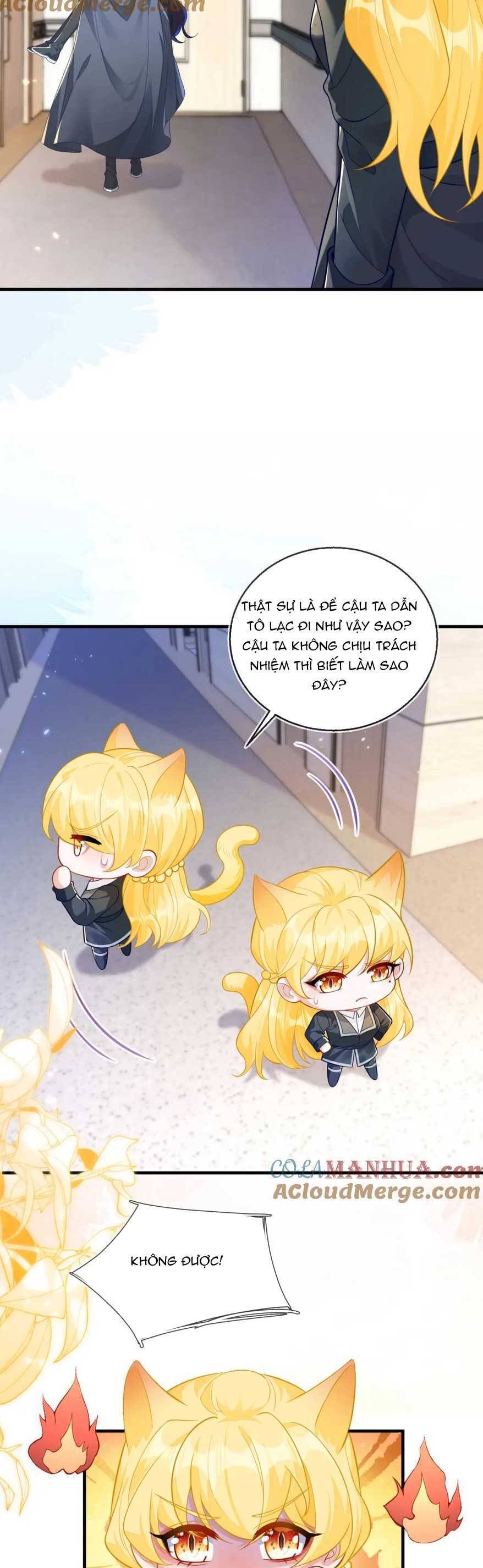 Vừa Mới Huỷ Hôn Đã Bị Dã Hồ Ly Lừa Kết Hôn Chap 20 - Next Chap 21