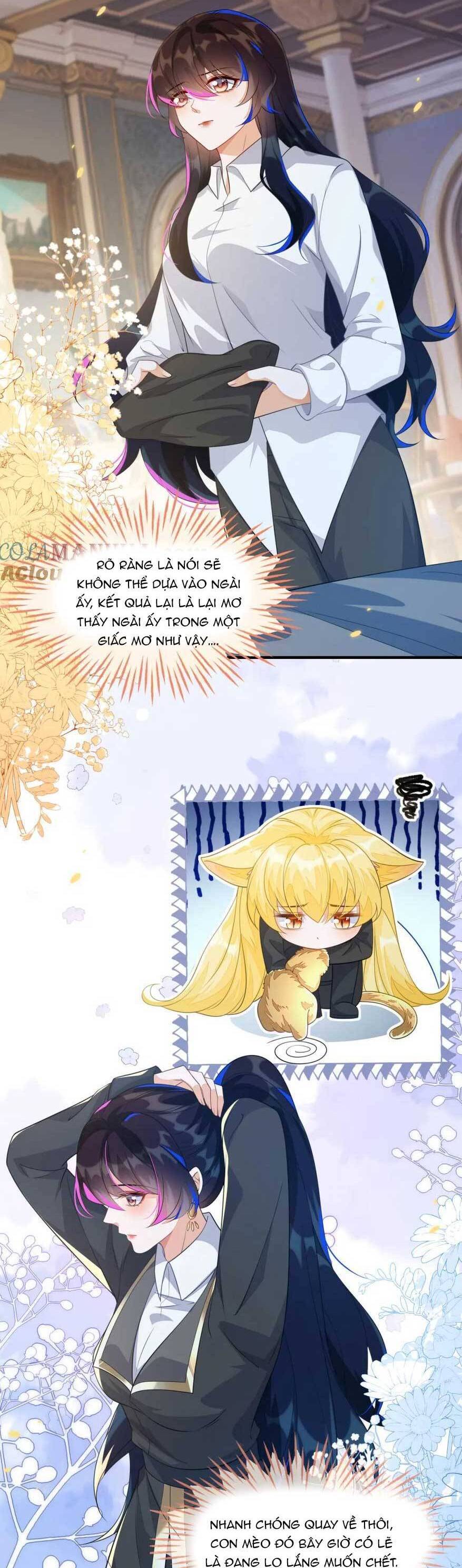 Vừa Mới Huỷ Hôn Đã Bị Dã Hồ Ly Lừa Kết Hôn Chap 20 - Next Chap 21