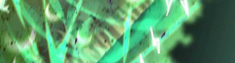 Dũng Giả X Nữ Ma Vương Chap 90 - Next Chap 91