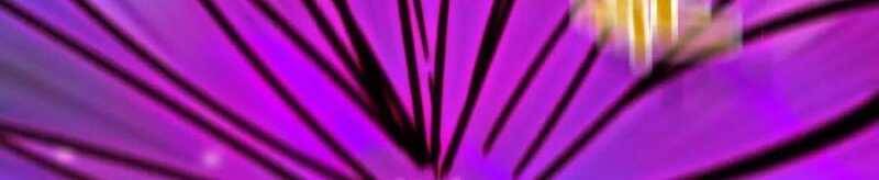 Dũng Giả X Nữ Ma Vương Chap 93 - Next Chap 94