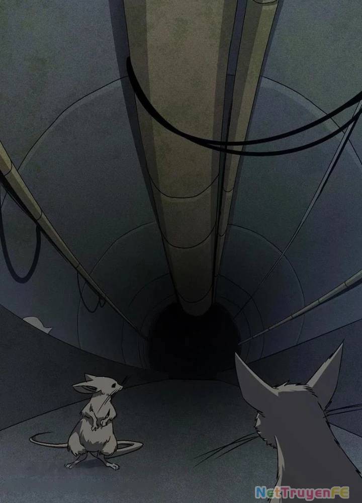 Ta Học Trảm Thần Trong Bệnh Viện Tâm Thần Chap 136 - Next Chap 137