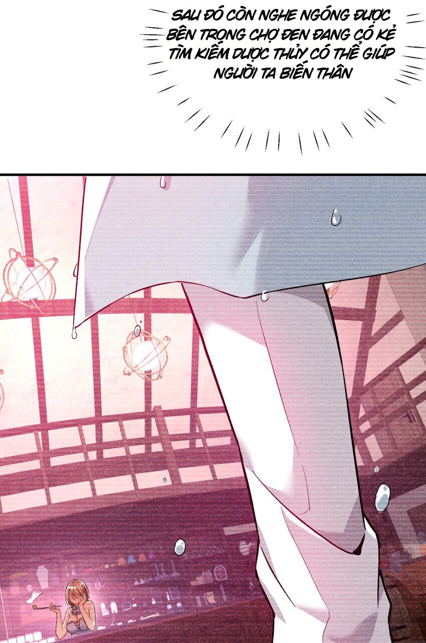 Trời Sinh Mị Cốt, Ta Bị Đồ Nhi Yandere Để Mắt Tới Chap 14 - Next Chap 15