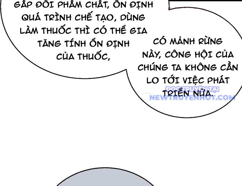 Vô Địch Bị Động Tạo Ra Tấn Sát Thương Chap 73 - Next Chap 74