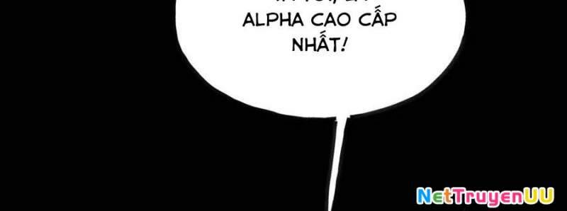 Sau Khi Chết, Ta Trở Thành Võ Đạo Thiên Ma Chap 15 - Next Chap 16