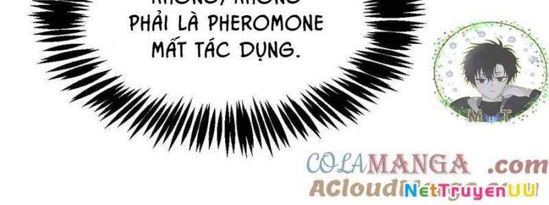 Sau Khi Chết, Ta Trở Thành Võ Đạo Thiên Ma Chap 15 - Next Chap 16