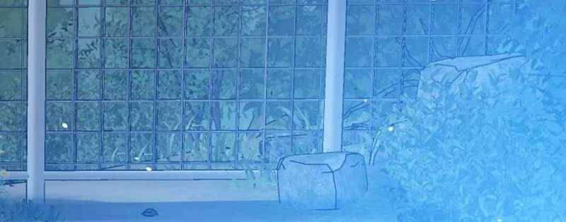 Sau Khi Chết, Ta Trở Thành Võ Đạo Thiên Ma Chap 18 - Next Chap 19