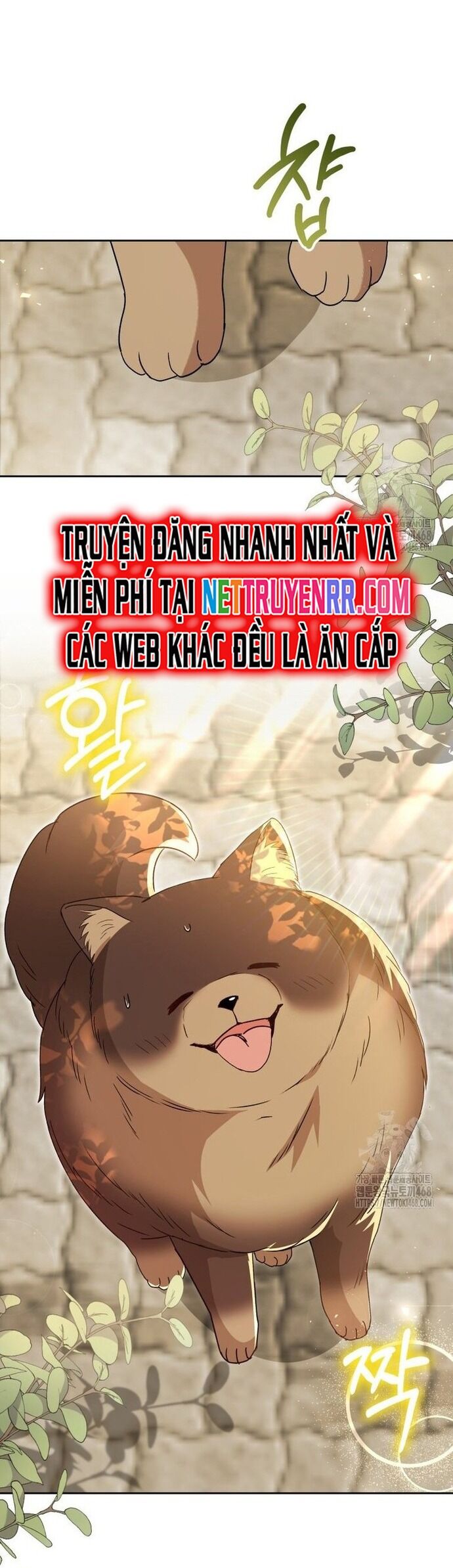 Xin Chào! Bác Sĩ Thú Y Chap 91 - Next Chap 92