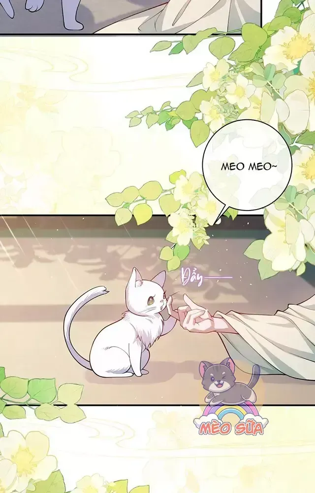 Nuông Chiều Mỹ Nhân Cuồng Nhiệt Chap 17 - Next Chap 18