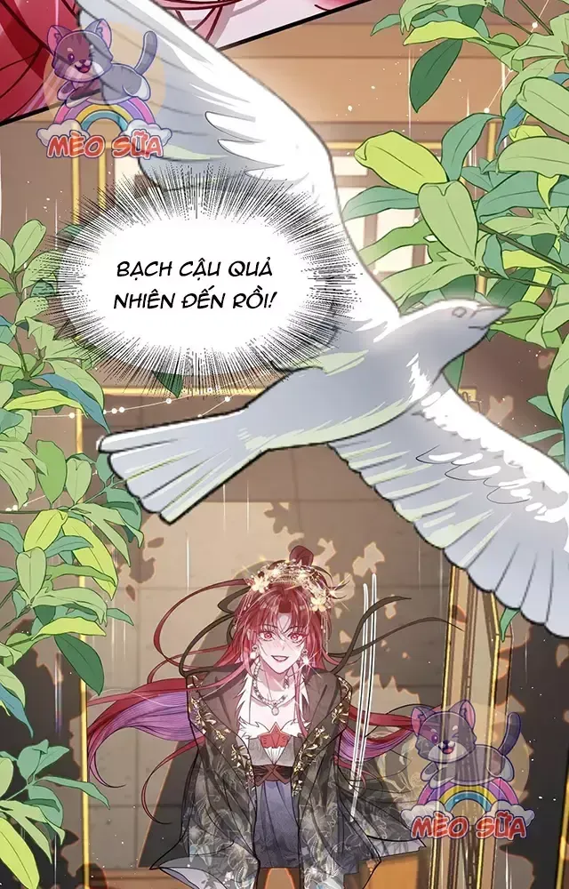 Nuông Chiều Mỹ Nhân Cuồng Nhiệt Chap 26 - Next Chap 27