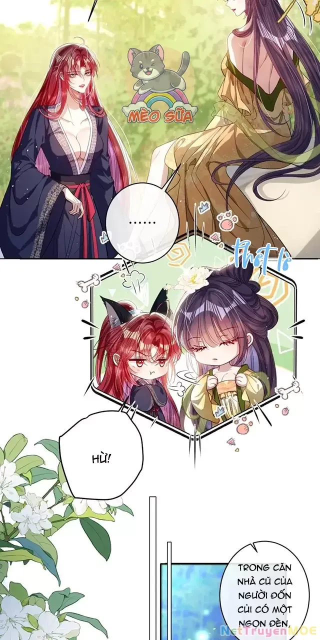 Nuông Chiều Mỹ Nhân Cuồng Nhiệt Chap 44 - Next Chap 45