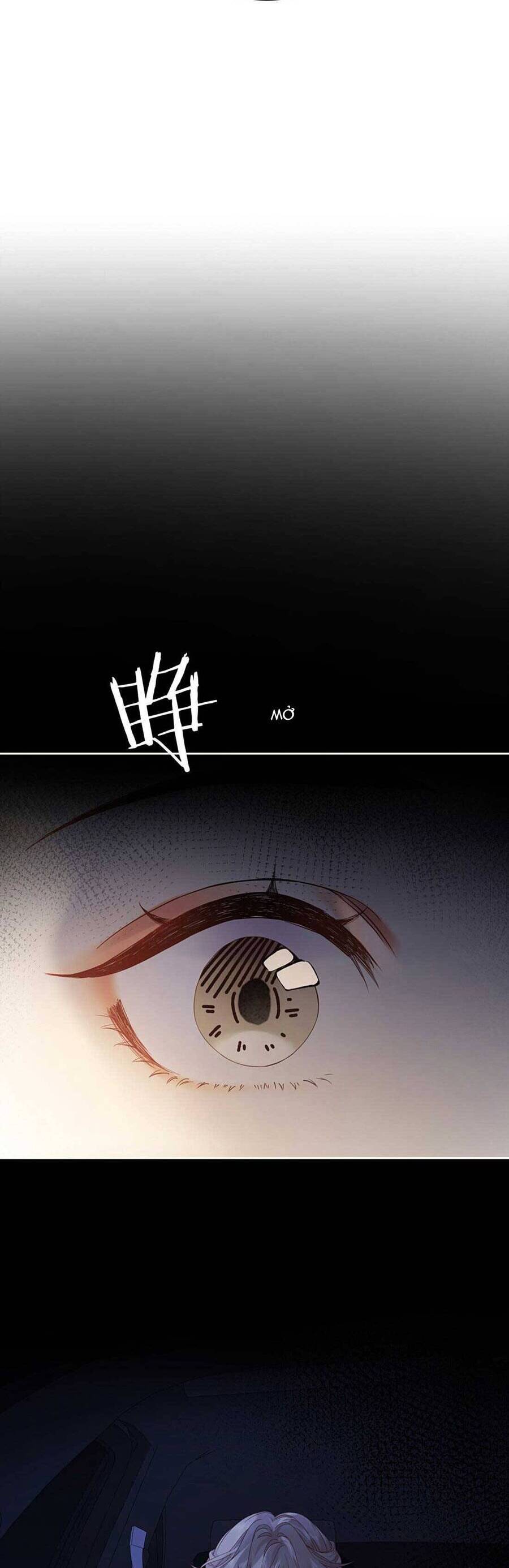 Chiết Ánh Trăng Chap 2 - Next Chap 3