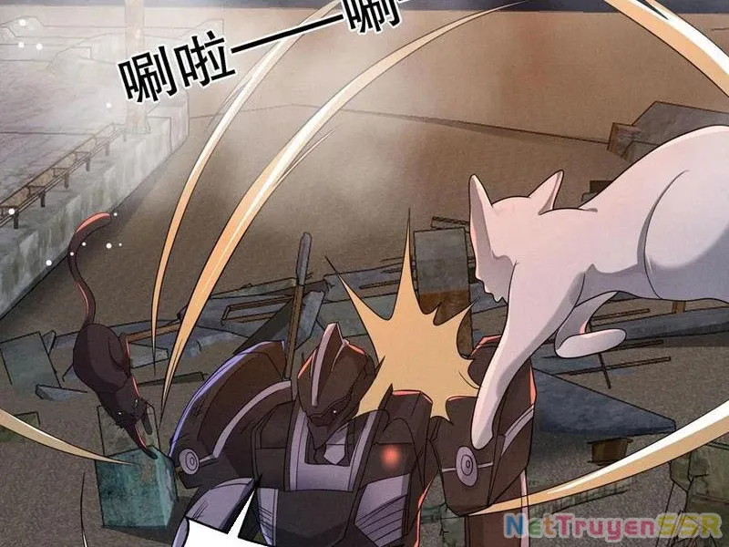 Quy Tắc Chuyện Lạ: Bắt Đầu Hóa Thân Đánh Lui Chiến Thần Chap 204 - Next Chap 205