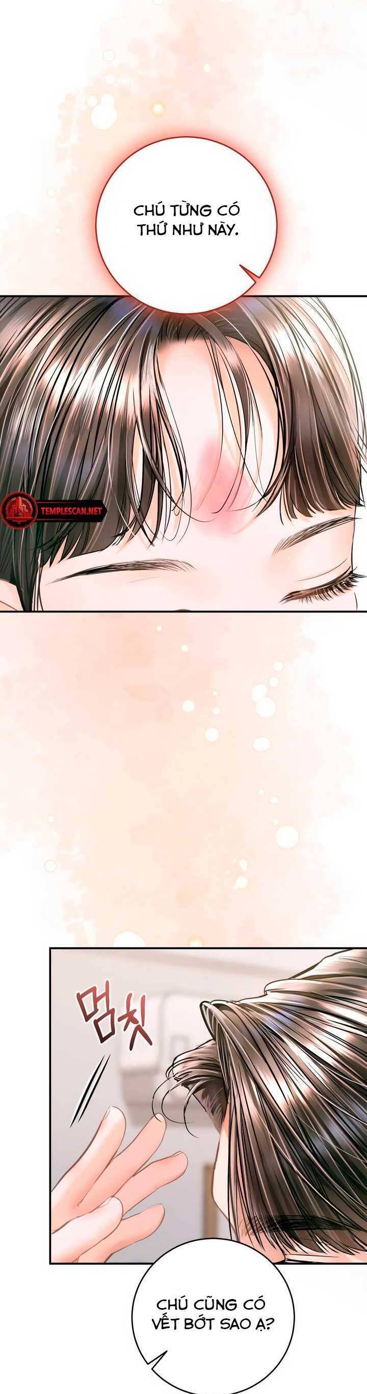 Đứa Trẻ Trông Giống Tôi Chap 37 - Next Chap 38