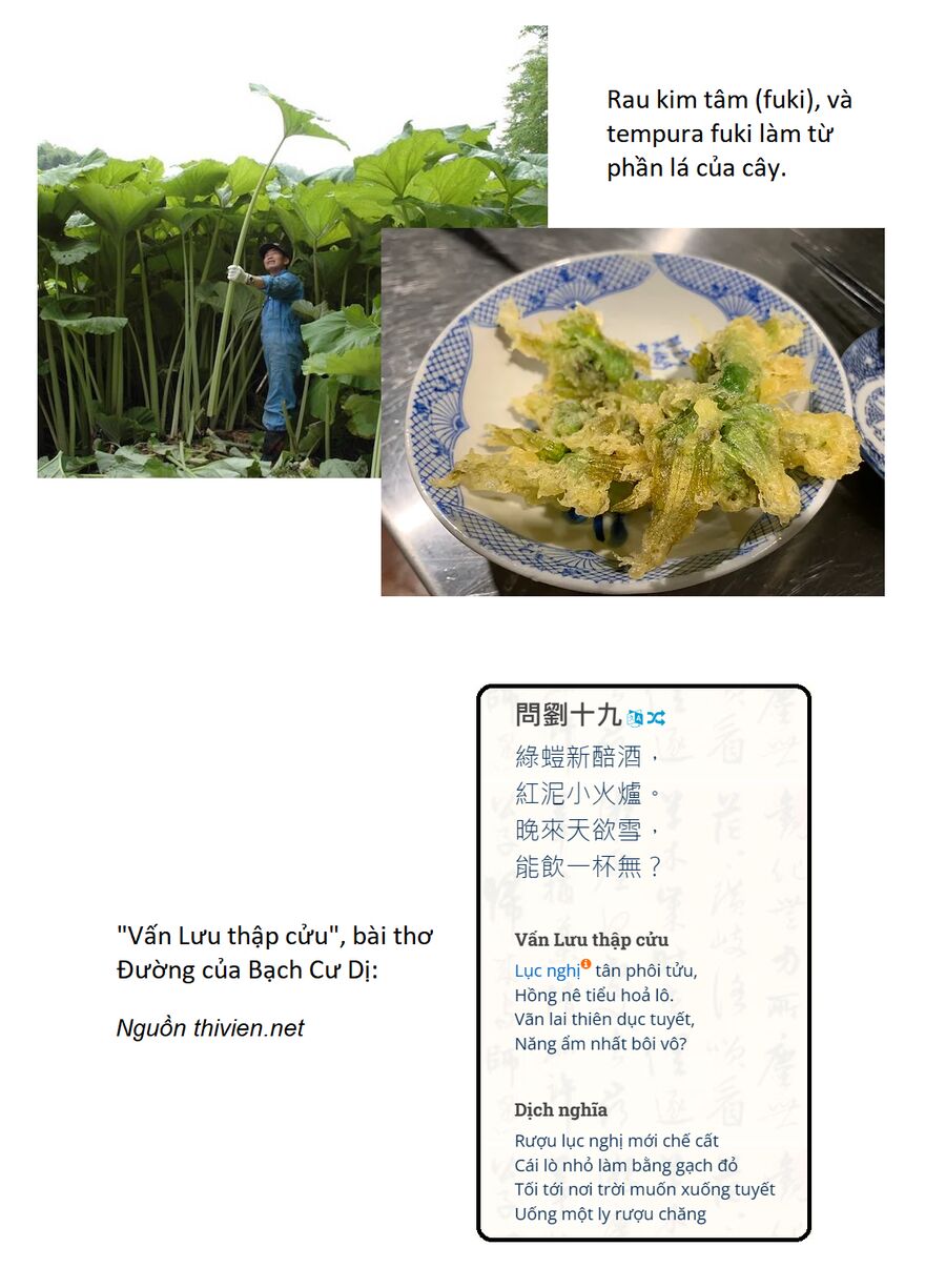 Touhou - Koishi Sành Ăn Chap 4 - Next Chap 5