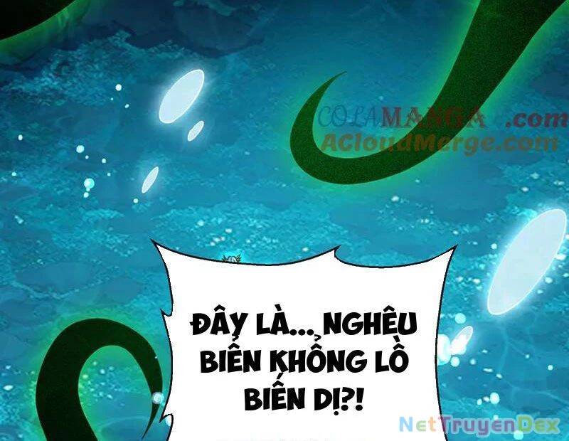 Linh Khí Khôi Phục: Từ Cá Chép Tiến Hoá Thành Thần Long Chap 39 - Next Chap 40