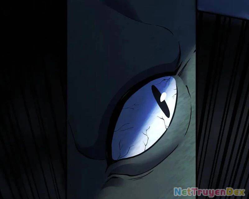 Linh Khí Khôi Phục: Từ Cá Chép Tiến Hoá Thành Thần Long Chap 39 - Next Chap 40