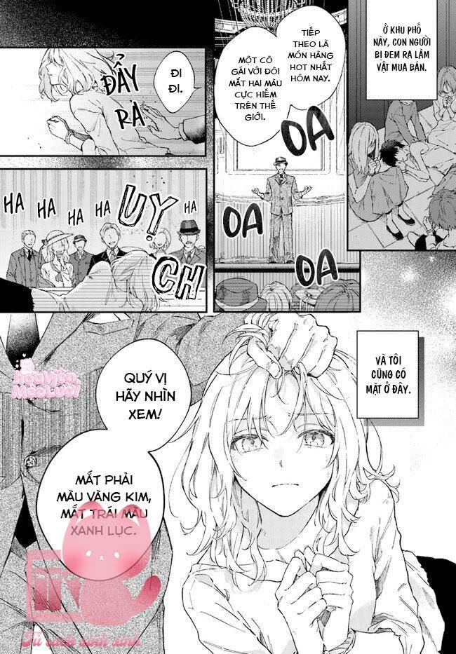 Đêm Nay, Bày Tỏ Lòng Trung Thành Ngọt Ngào Tại Nhà Lorenzi Chap 1 - Next Chap 2