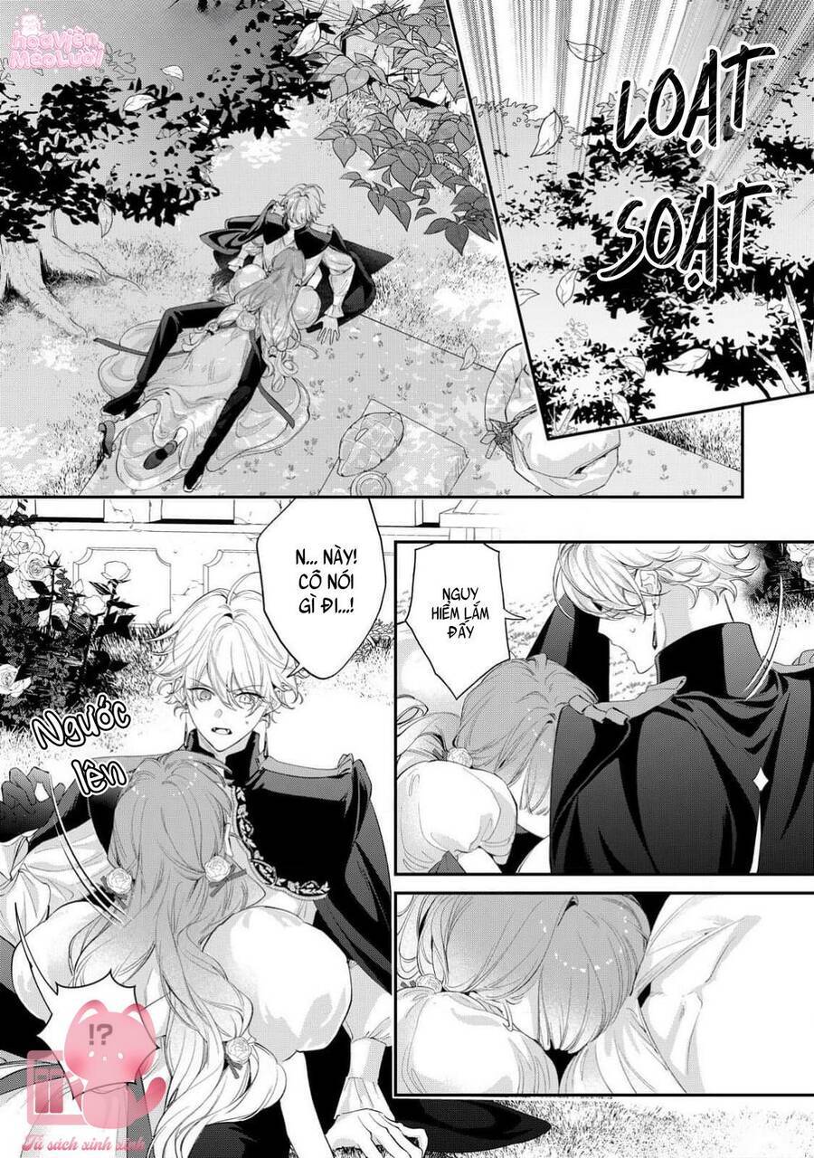 Hoa Hồng Ẩn Giấu Sao Băng Chap 13 - Next Chap 14