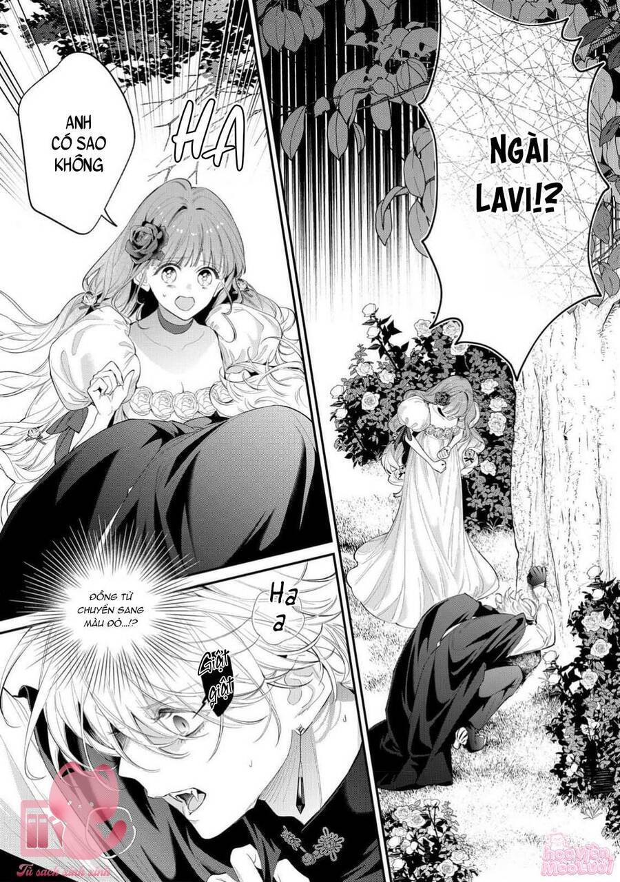 Hoa Hồng Ẩn Giấu Sao Băng Chap 14 - Next Chap 15