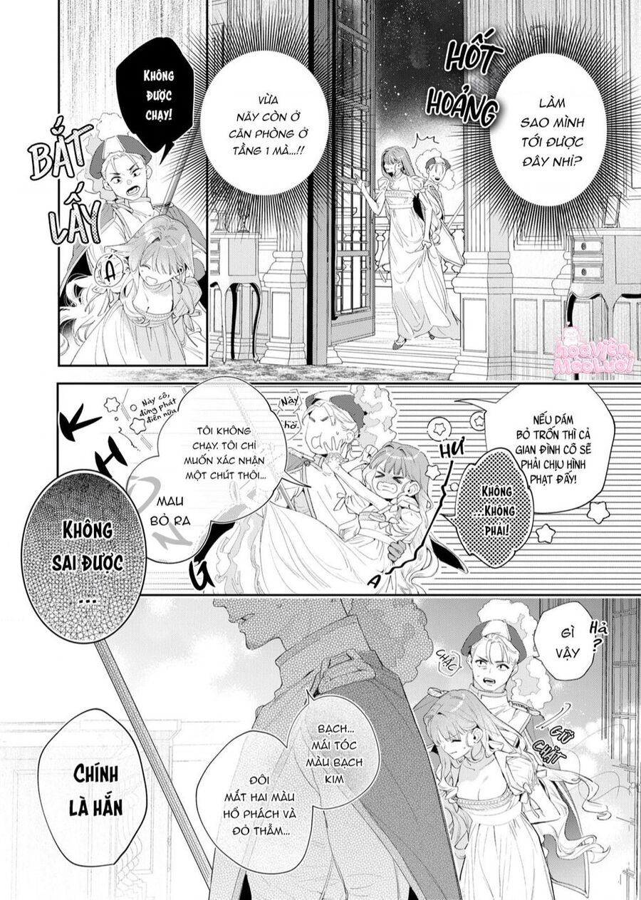 Hoa Hồng Ẩn Giấu Sao Băng Chap 2 - Next Chap 3