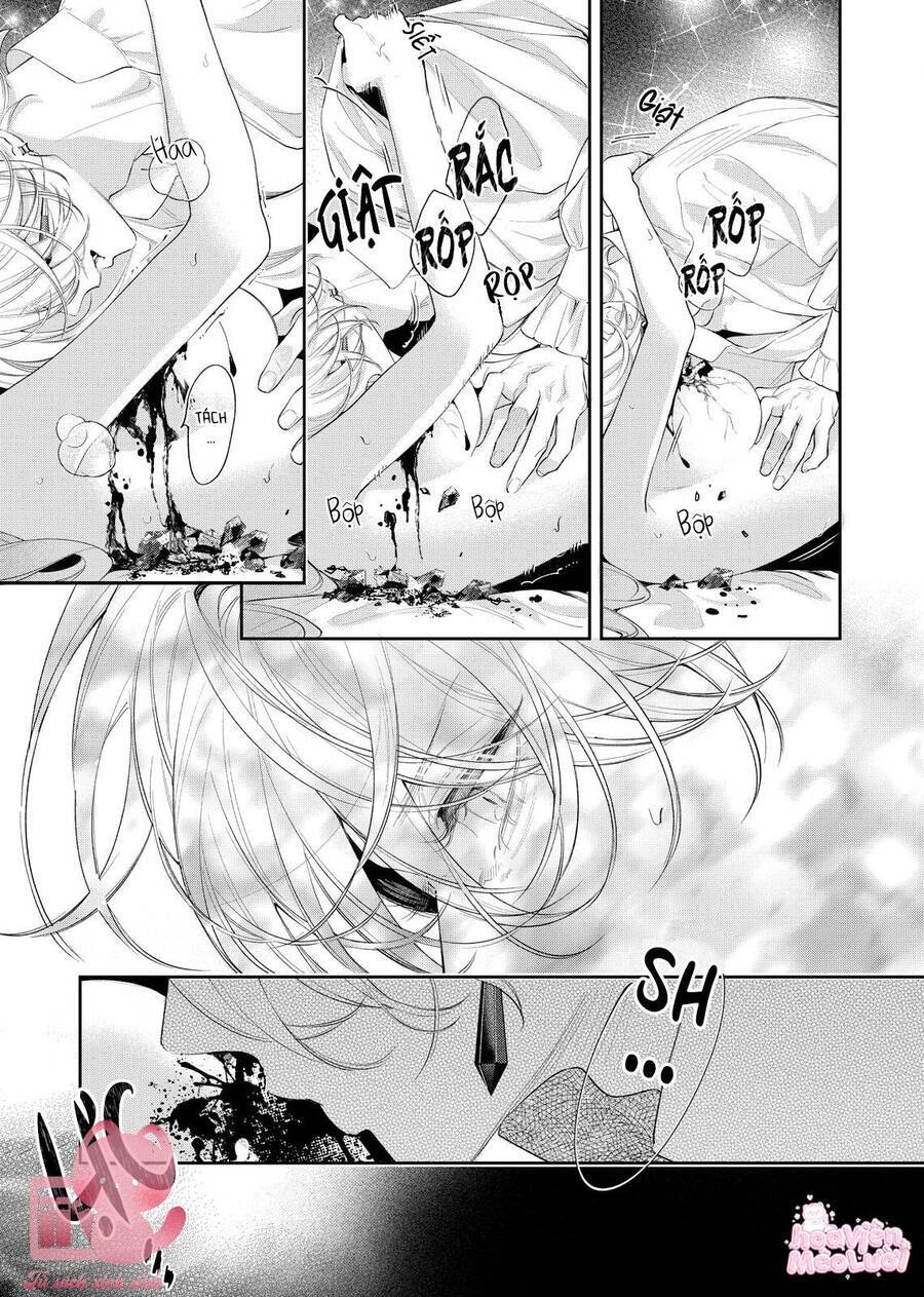 Hoa Hồng Ẩn Giấu Sao Băng Chap 8 - Next Chap 9