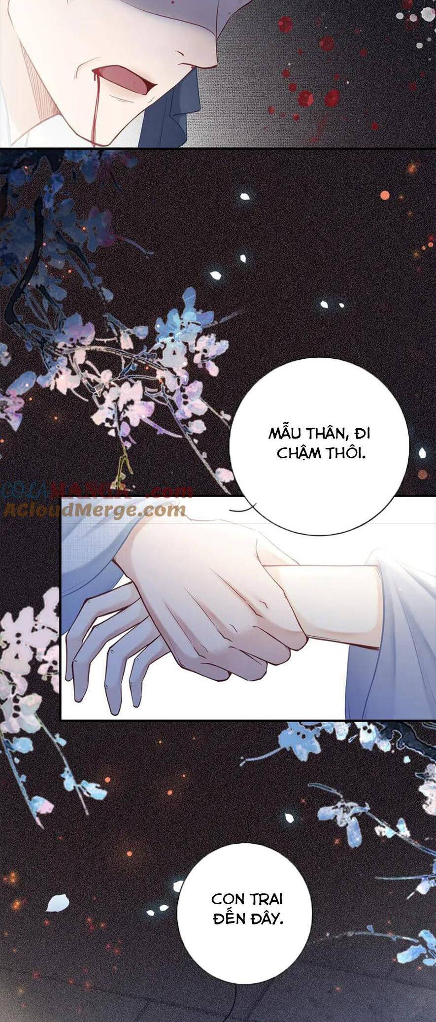 NGỖ TÁC CẨM Y Chap 41 - Next Chap 42