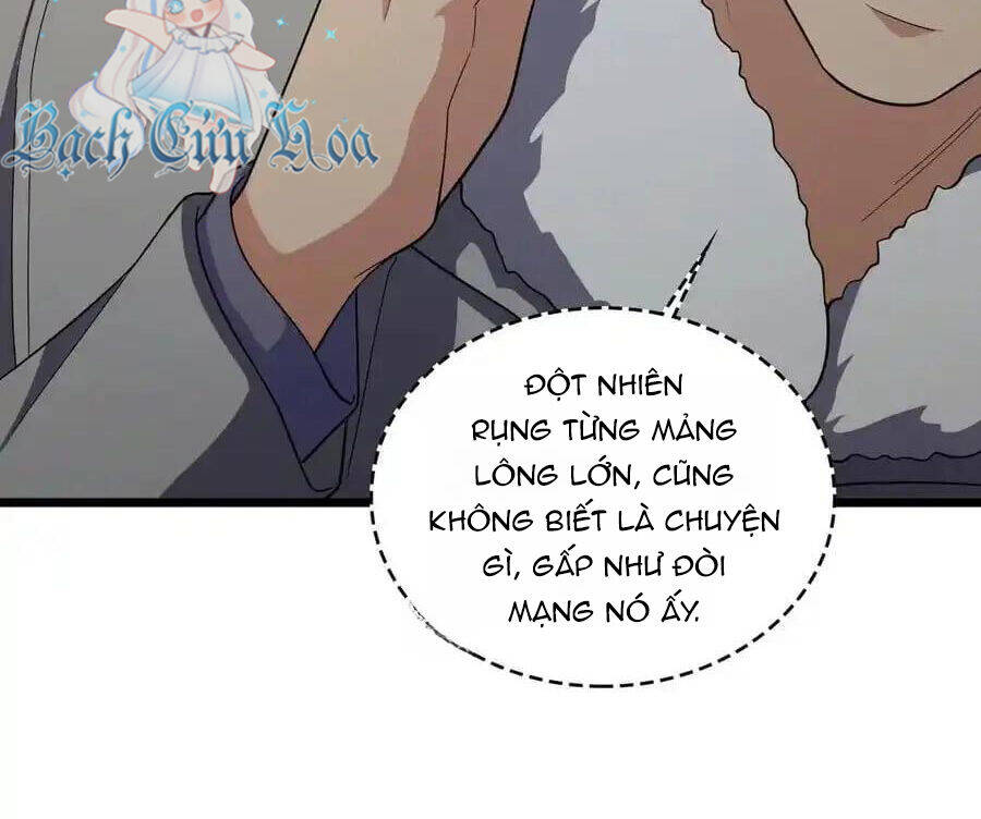 Bà Xã Nhà Tôi Đến Từ Ngàn Năm Trước Chap 272 - Next Chap 273