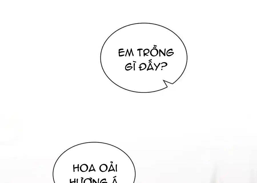 Bà Xã Nhà Tôi Đến Từ Ngàn Năm Trước Chap 274 - Next Chap 275