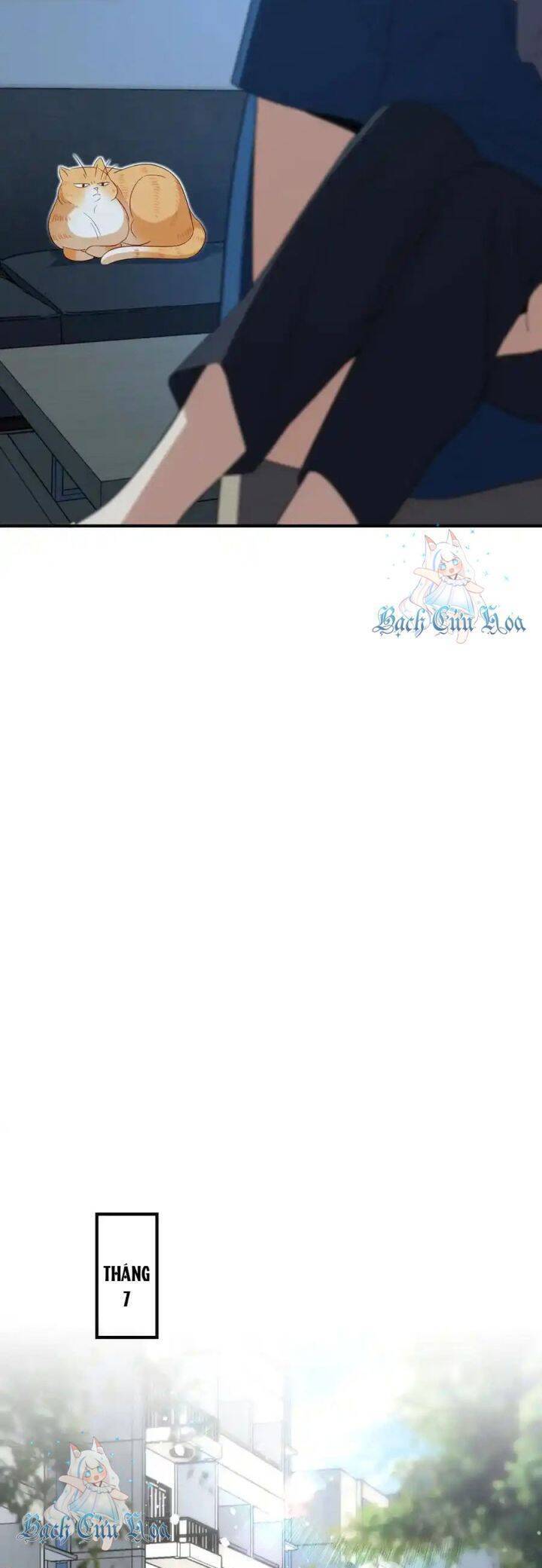 Bà Xã Nhà Tôi Đến Từ Ngàn Năm Trước Chap 315 - Next Chap 316