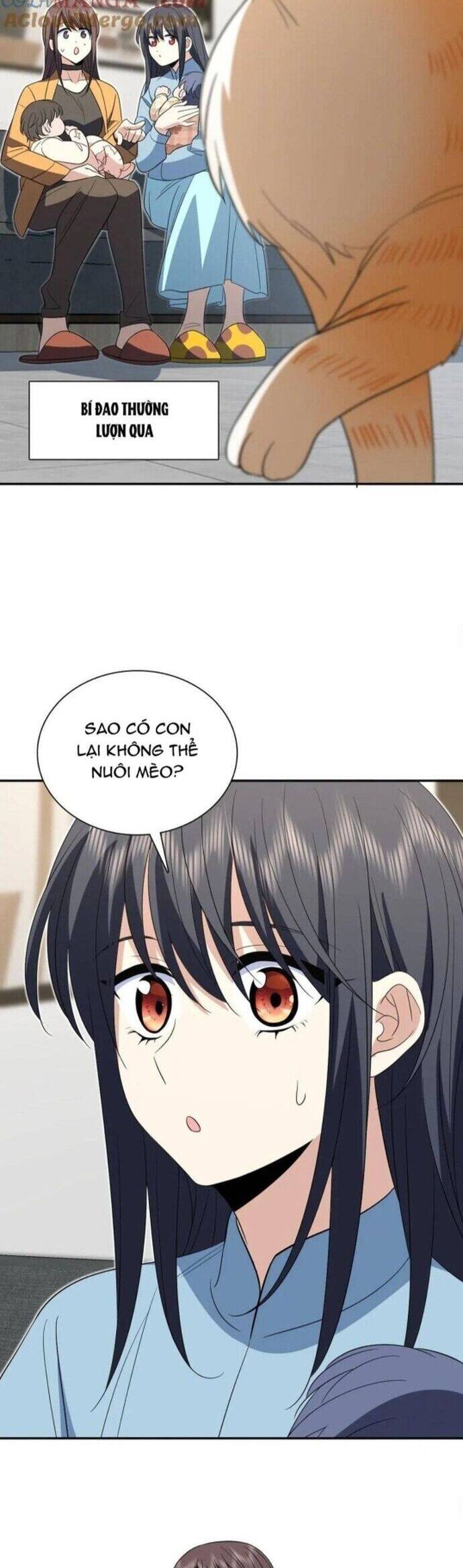 Bà Xã Nhà Tôi Đến Từ Ngàn Năm Trước Chap 343 - Next Chap 344