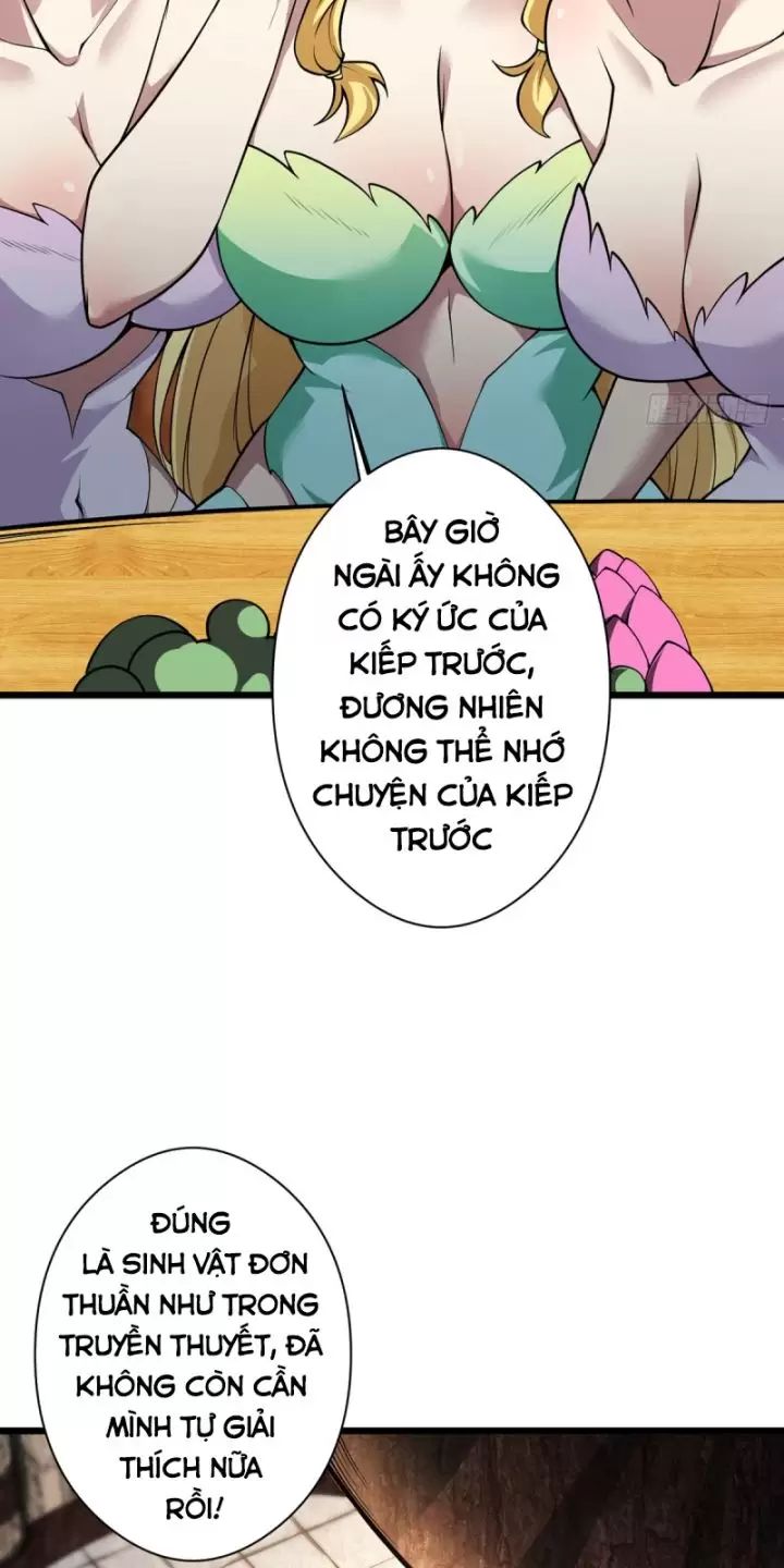 Ta, Chúa Tể Rừng Xanh Chap 17 - Next Chap 18