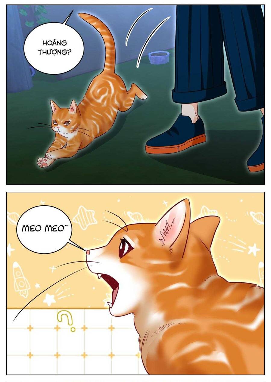 Ký Túc Xá Nam Phòng 303 Chap 238 - Next Chap 239