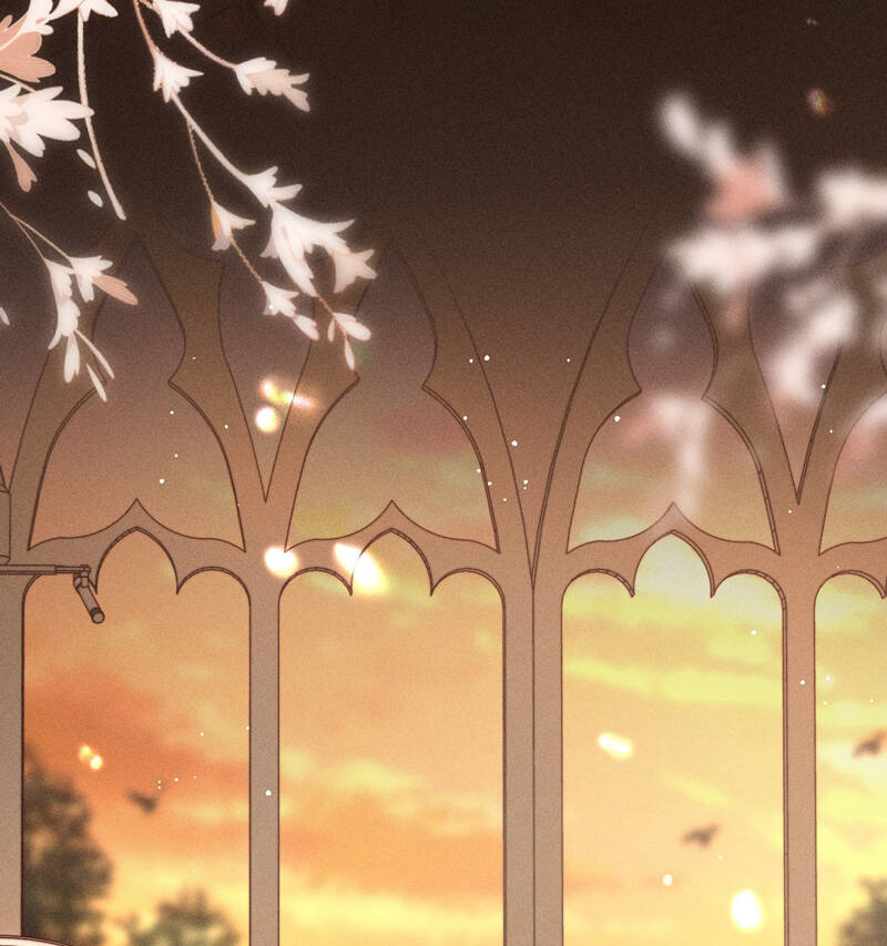 Ánh Trăng Vì Tôi Mà Đến Chap 47 - Next Chap 48