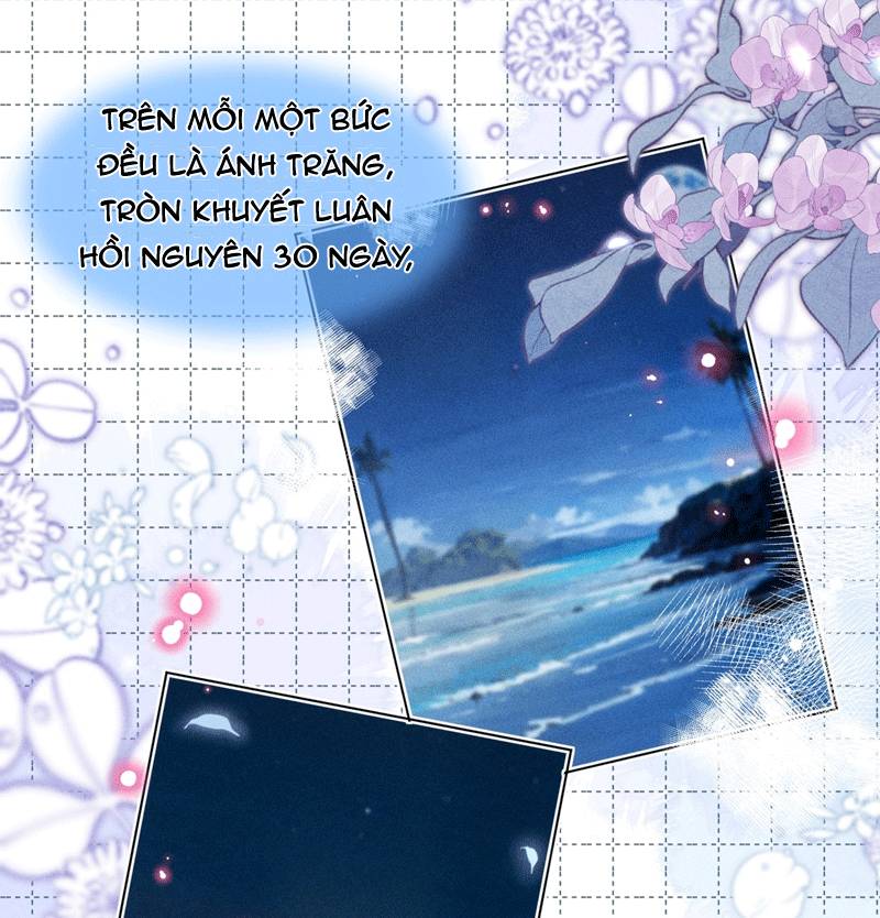 Ánh Trăng Vì Tôi Mà Đến Chap 49 - Next Chap 50