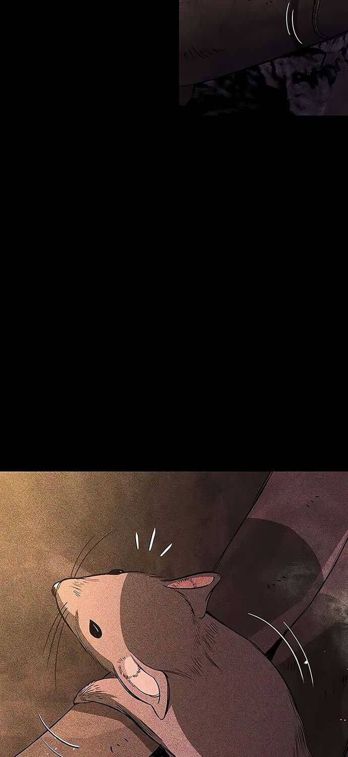 Kẻ Điên Và Đội Trưởng Cảnh Vệ Chap 14 - Next Chap 15