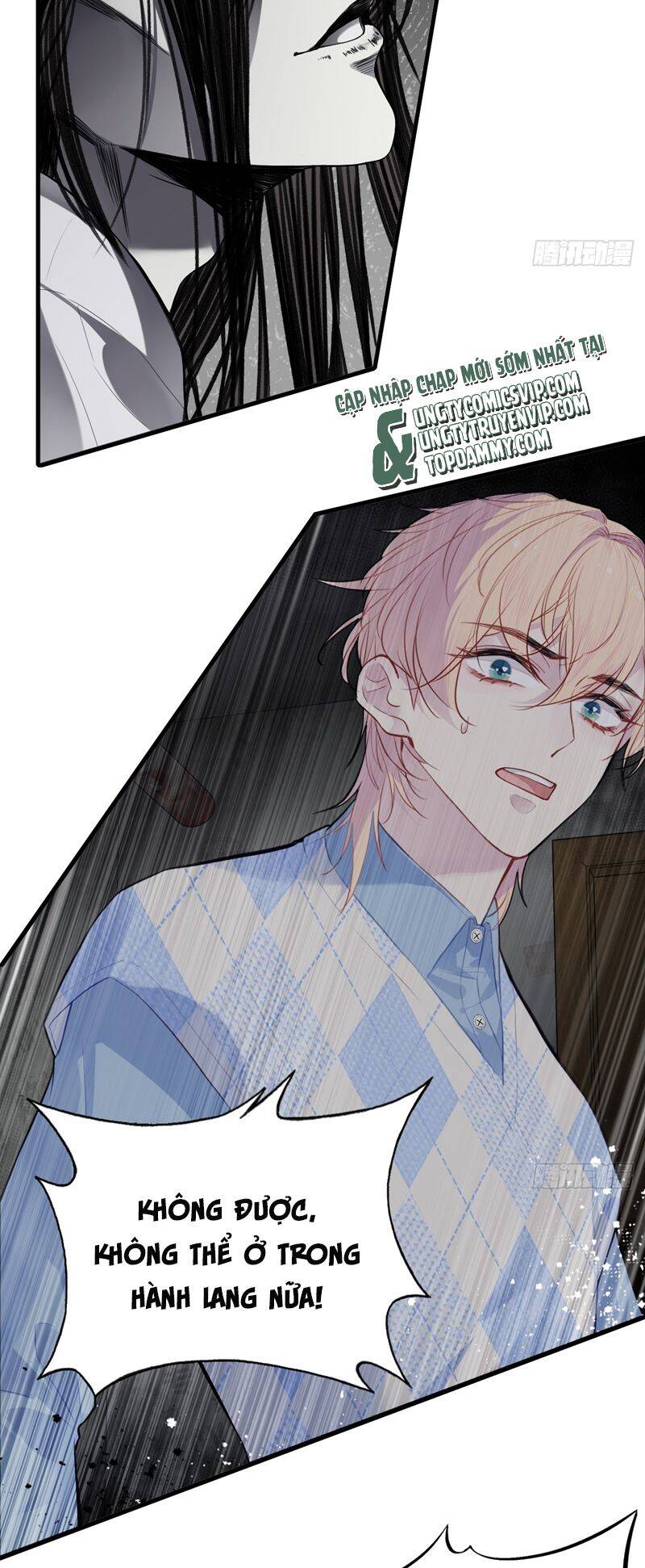 Anh Ấy Chưa Từng Rơi Xuống Chap 50 - Next Chap 51