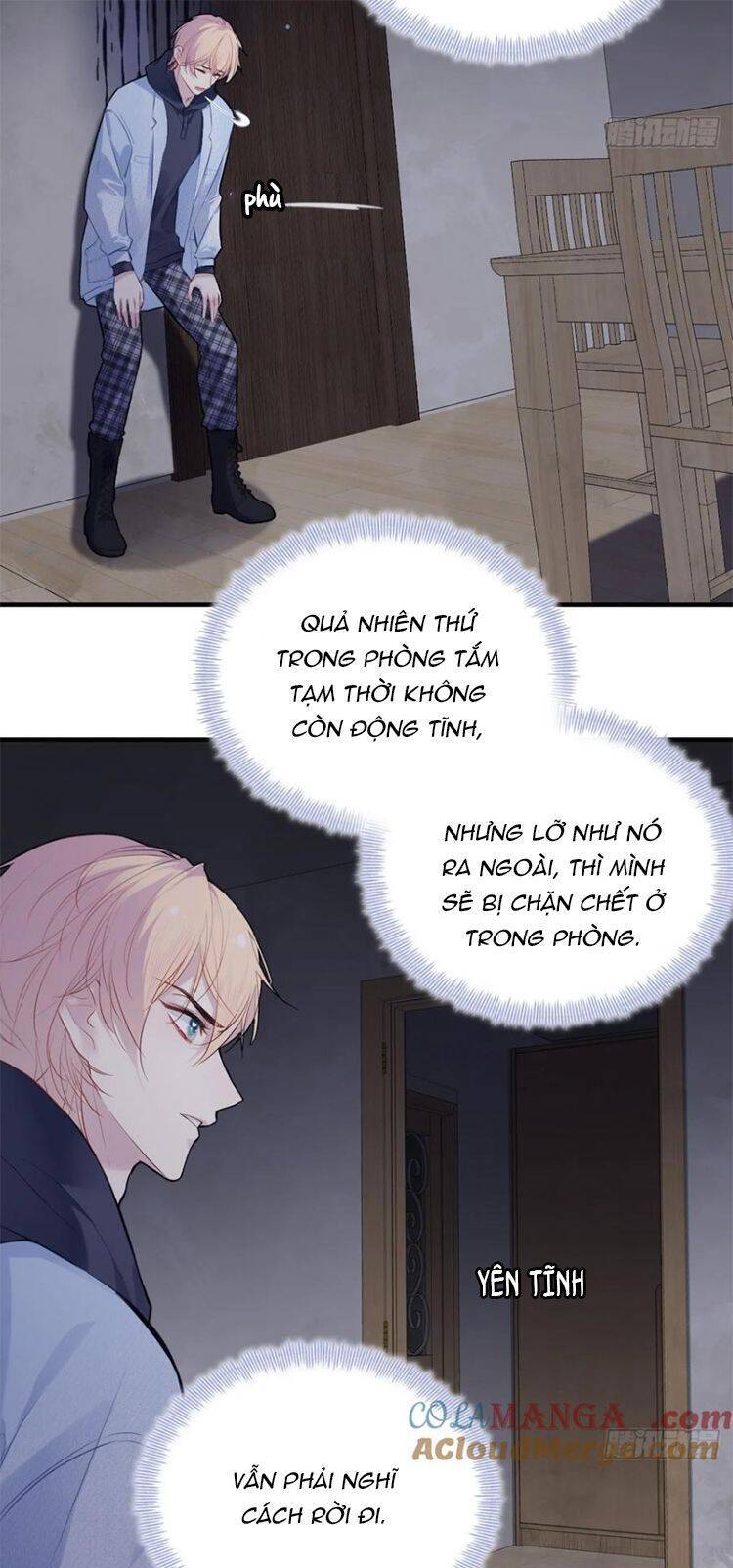 Anh Ấy Chưa Từng Rơi Xuống Chap 71 - Next Chap 72