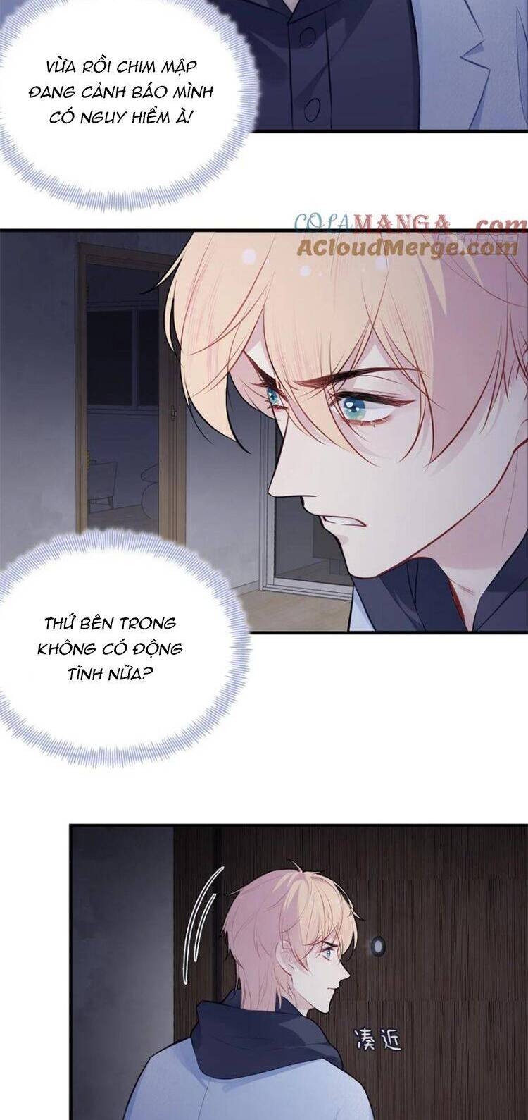 Anh Ấy Chưa Từng Rơi Xuống Chap 71 - Next Chap 72