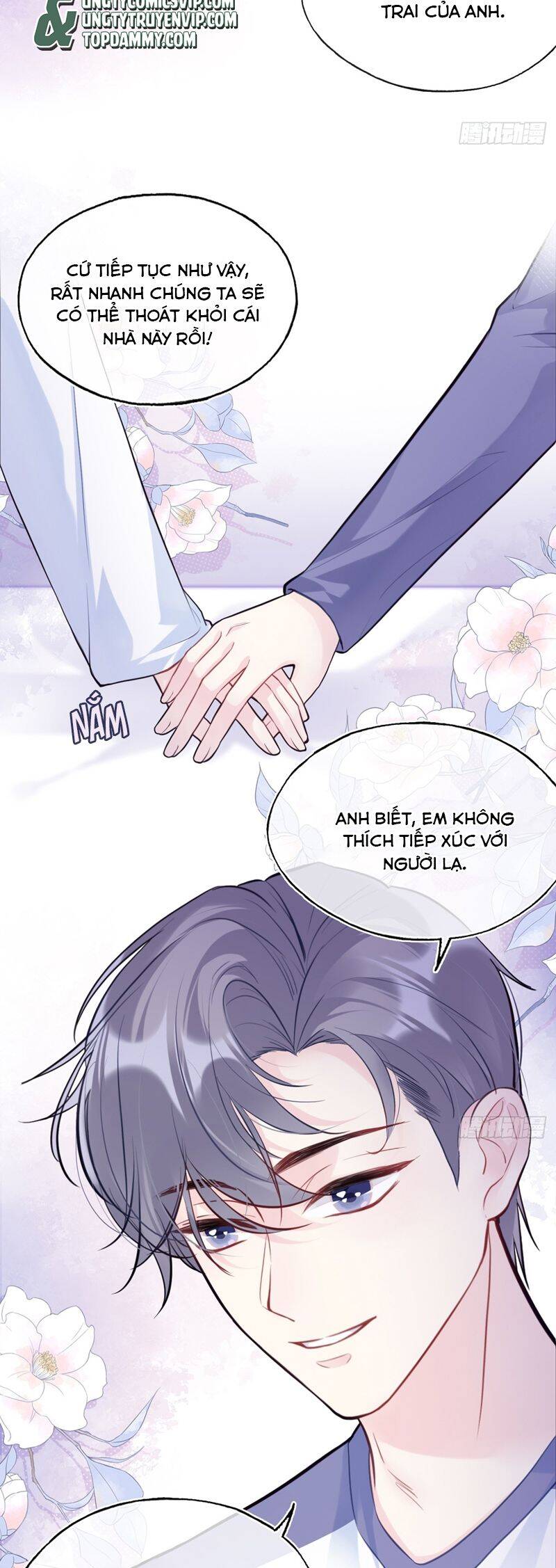 Anh Ấy Chưa Từng Rơi Xuống Chap 77 - Next Chap 78
