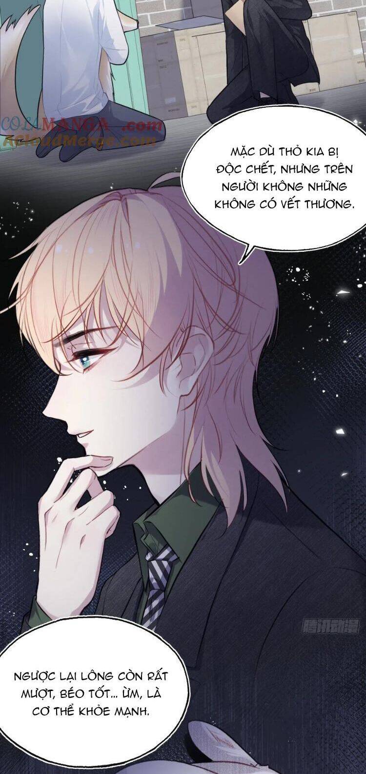 Anh Ấy Chưa Từng Rơi Xuống Chap 79 - Next Chap 80