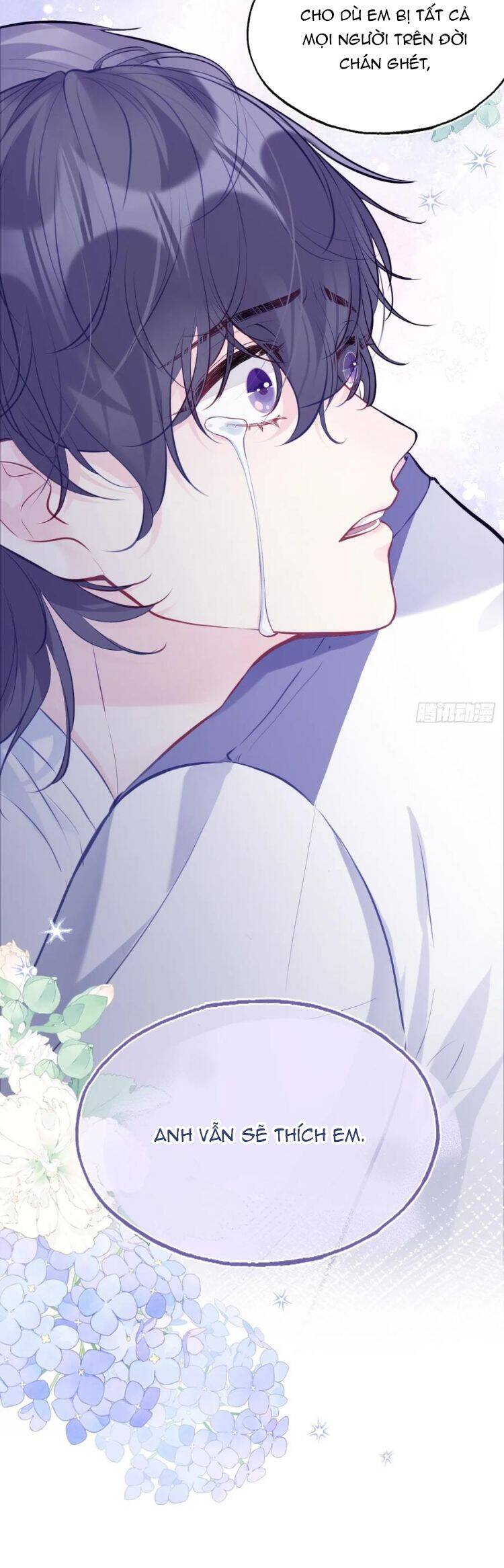 Anh Ấy Chưa Từng Rơi Xuống Chap 81 - Next Chap 82