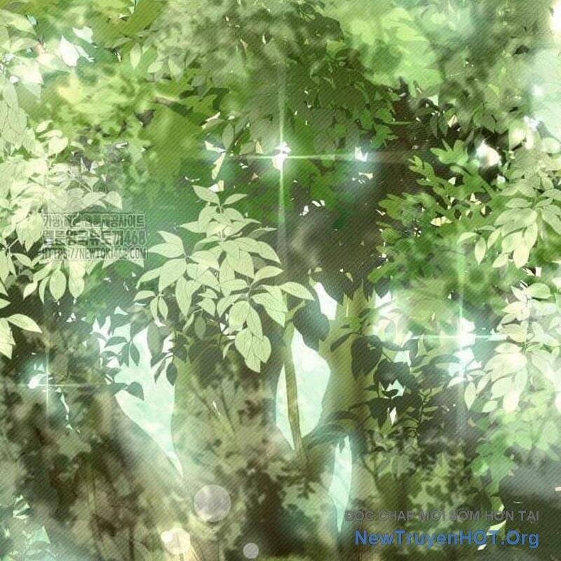 Kim Chiến Sĩ: Hành Trình Xây Dựng Đặc Tính Chap 47 - Next Chap 48