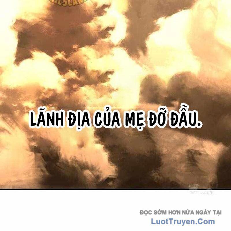 Kim Chiến Sĩ: Hành Trình Xây Dựng Đặc Tính Chap 57 - Next Chap 58