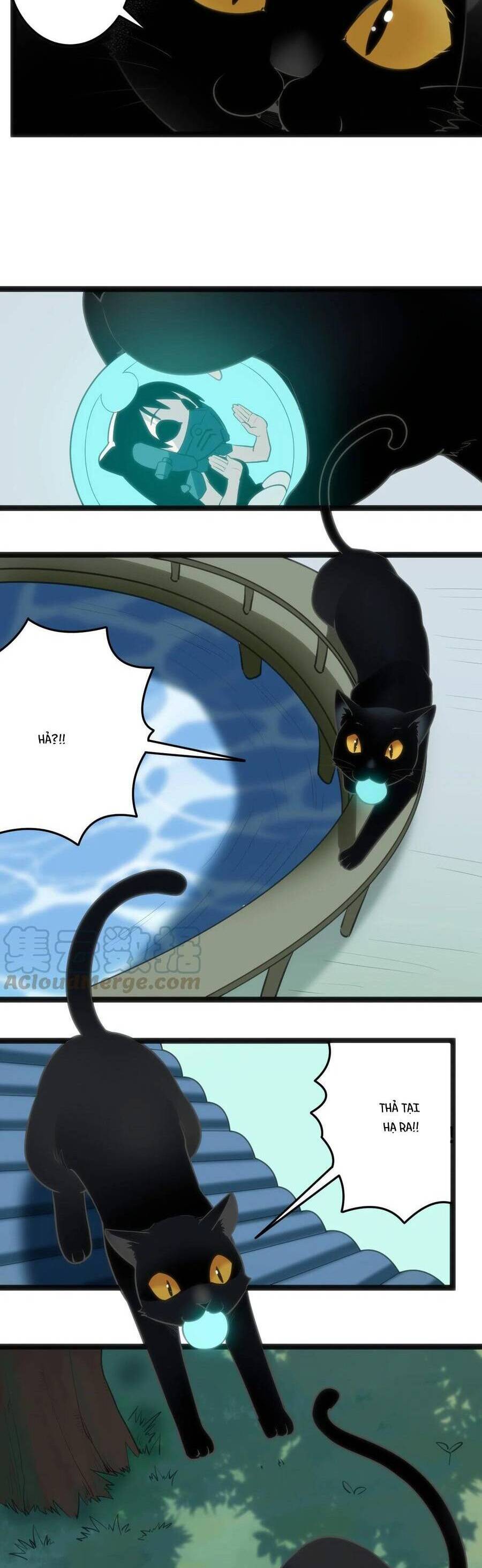 Bổn Thánh Nữ Ngã Bài Rồi Chap 59 - Next Chap 60